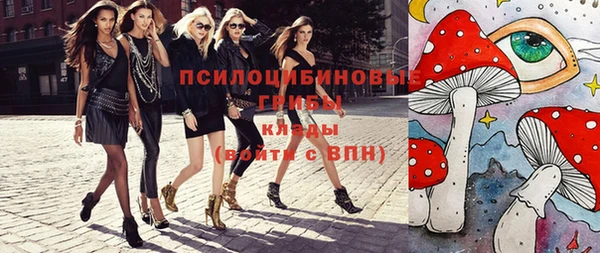 2c-b Белокуриха