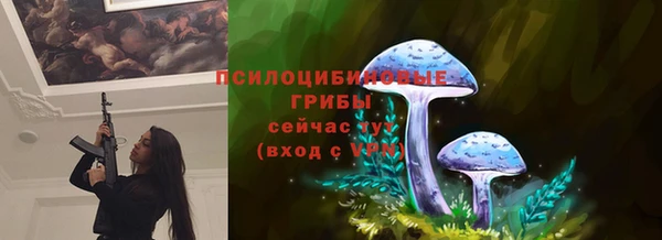 индика Белоозёрский