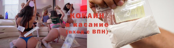 индика Белоозёрский