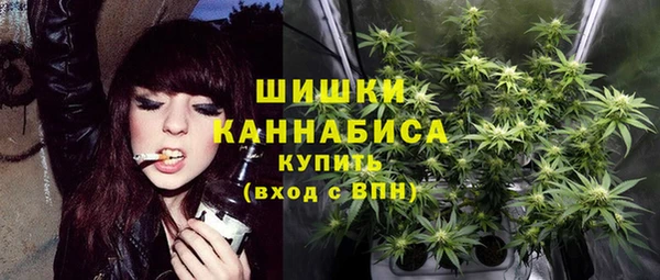 индика Белоозёрский