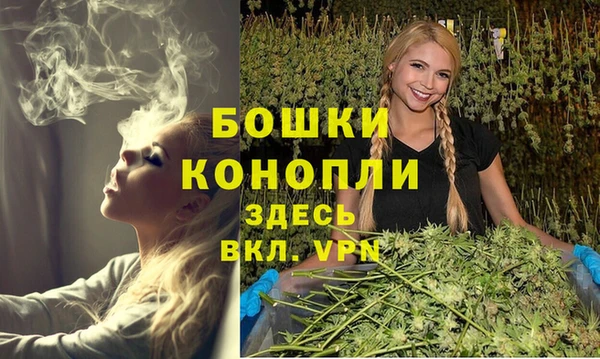 индика Белоозёрский